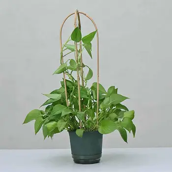 Саксийно растение подкрепа U-образна 3 стилове растение подкрепа растение подкрепа цвете катерене рамка растение подкрепа за дома